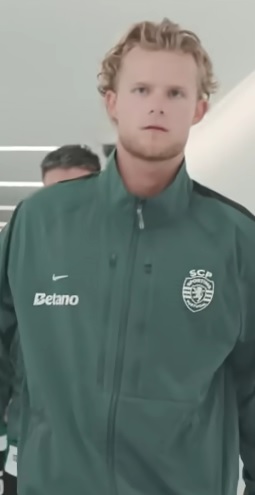 Searching for Hjulmand Bundesliga Improvement: Context Gaps Revealed